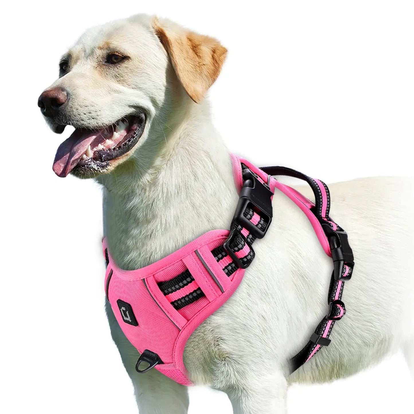 Harnais anti - traction pour chien – Confort, sécurité et contrôle - FurissimoStore