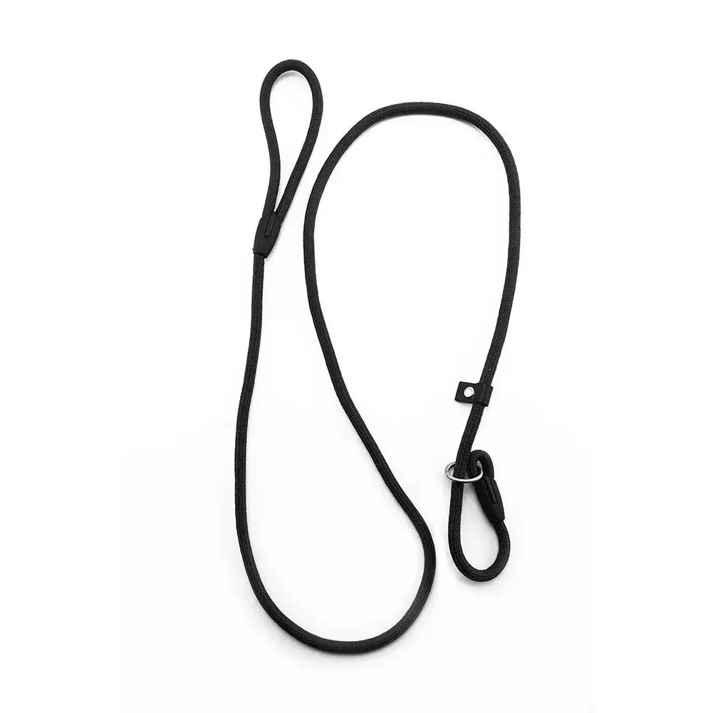 Laisse Nylon Réglable pour Chien – 130 cm, Nœud Coulissant, Durable et Solide