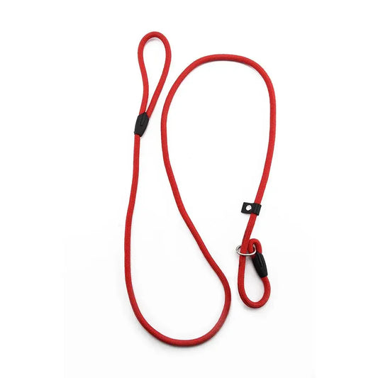 Laisse Nylon Réglable pour Chien – 130 cm, Nœud Coulissant, Durable et Solide