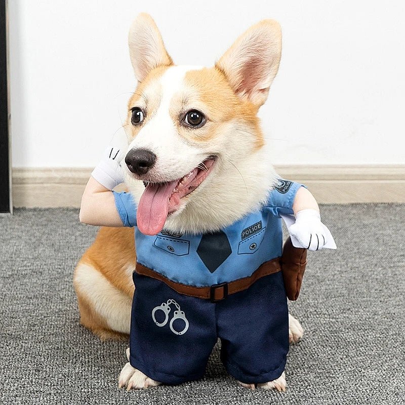 Costumes fun et confort pour chiens et chats - FurissimoStore