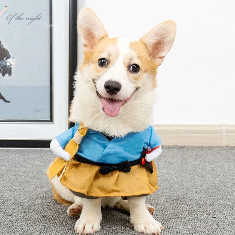 Costumes fun et confort pour chiens et chats - FurissimoStore