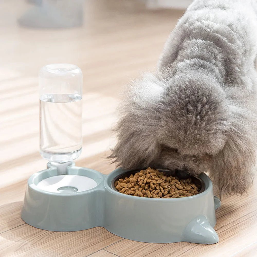 Ensemble Gamelles pour Chiens et Chats - FurissimoStore