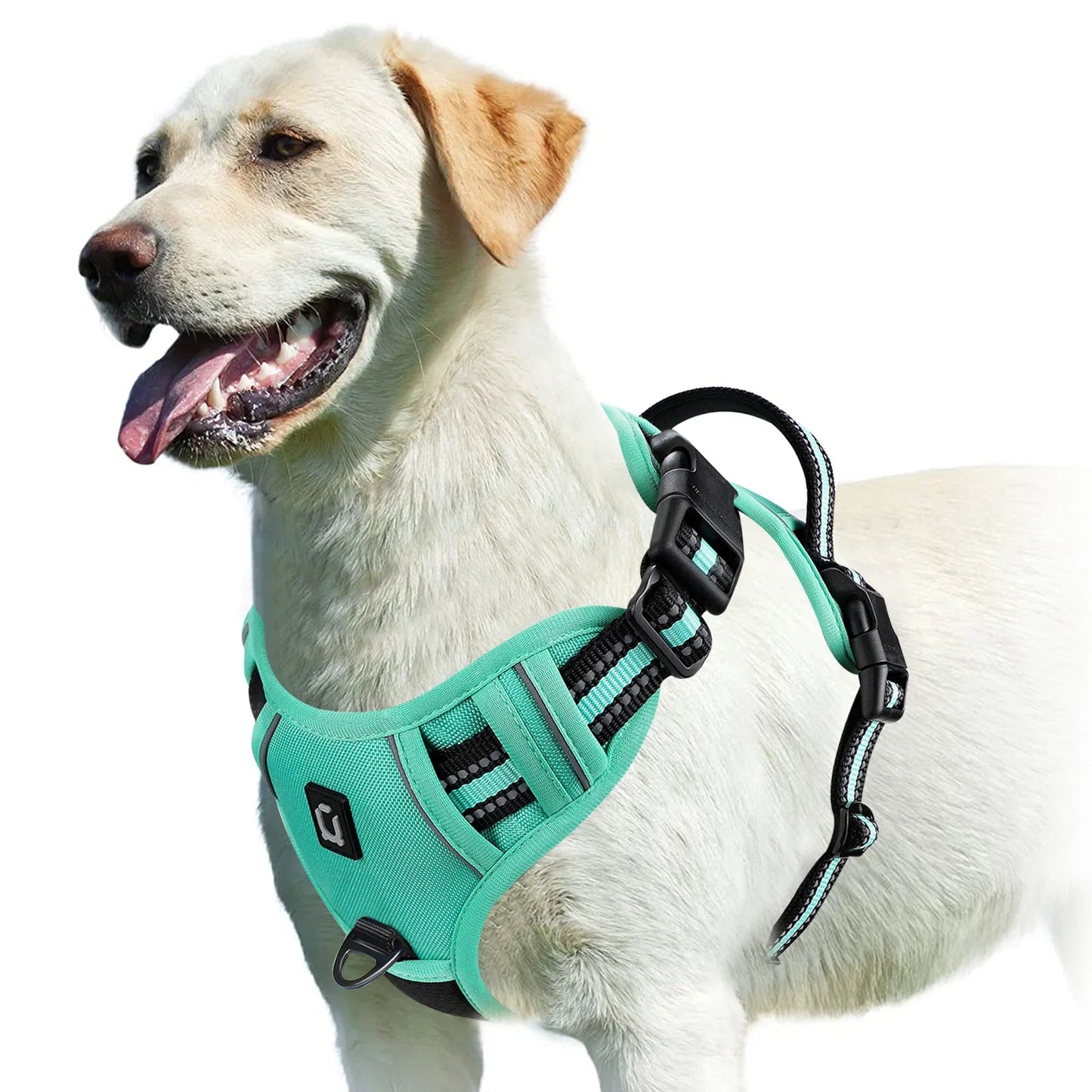 Harnais anti - traction pour chien – Confort, sécurité et contrôle - FurissimoStore