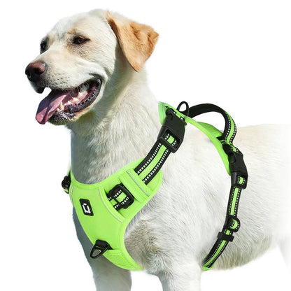 Harnais anti - traction pour chien – Confort, sécurité et contrôle - FurissimoStore