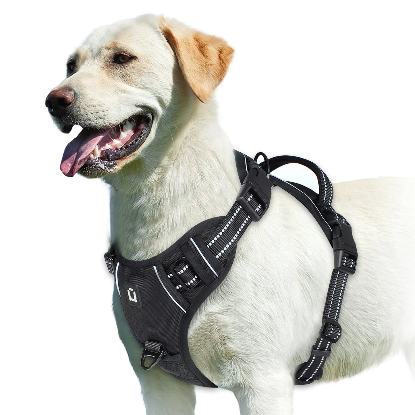Harnais anti - traction pour chien – Confort, sécurité et contrôle - FurissimoStore
