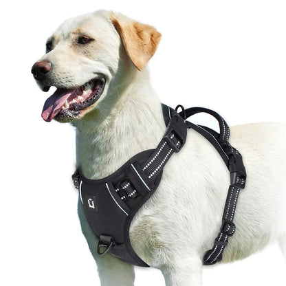 Harnais anti - traction pour chien – Confort, sécurité et contrôle - FurissimoStore
