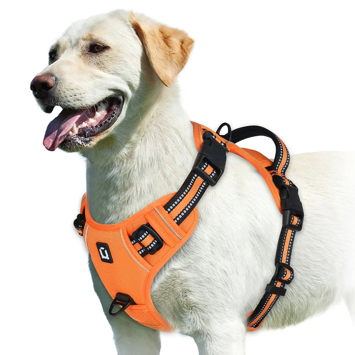 Harnais anti - traction pour chien – Confort, sécurité et contrôle - FurissimoStore