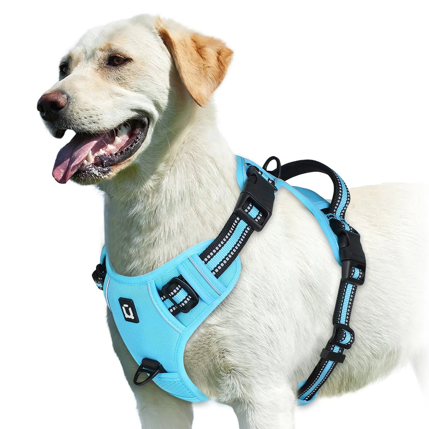 Harnais anti - traction pour chien – Confort, sécurité et contrôle - FurissimoStore