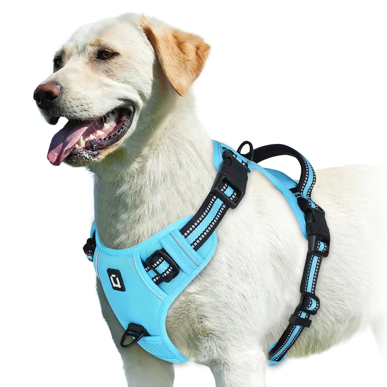 Harnais anti - traction pour chien – Confort, sécurité et contrôle - FurissimoStore