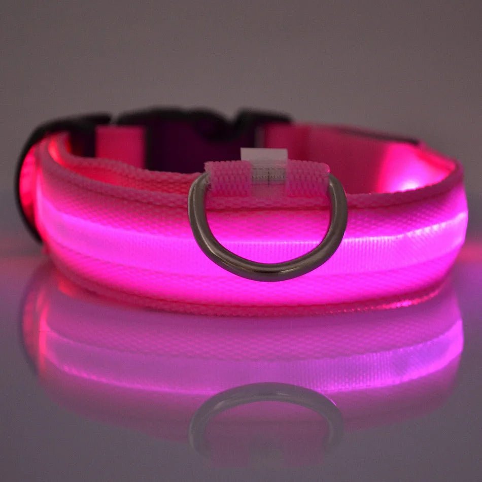 Nylon LED Night Safety Flashing Glow In The Dark Dog Leash Dogs Luminous Fluorescent Pet Dog Collar - FurissimoStore
