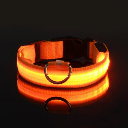 Nylon LED Night Safety Flashing Glow In The Dark Dog Leash Dogs Luminous Fluorescent Pet Dog Collar - FurissimoStore