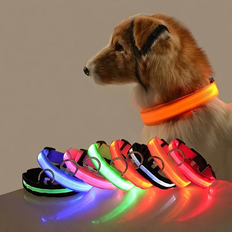 Nylon LED Night Safety Flashing Glow In The Dark Dog Leash Dogs Luminous Fluorescent Pet Dog Collar - FurissimoStore