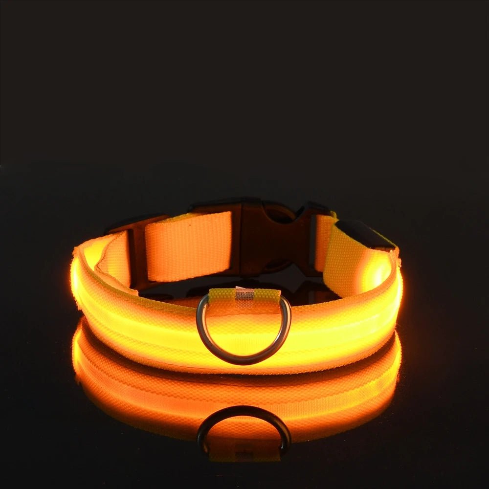 Nylon LED Night Safety Flashing Glow In The Dark Dog Leash Dogs Luminous Fluorescent Pet Dog Collar - FurissimoStore