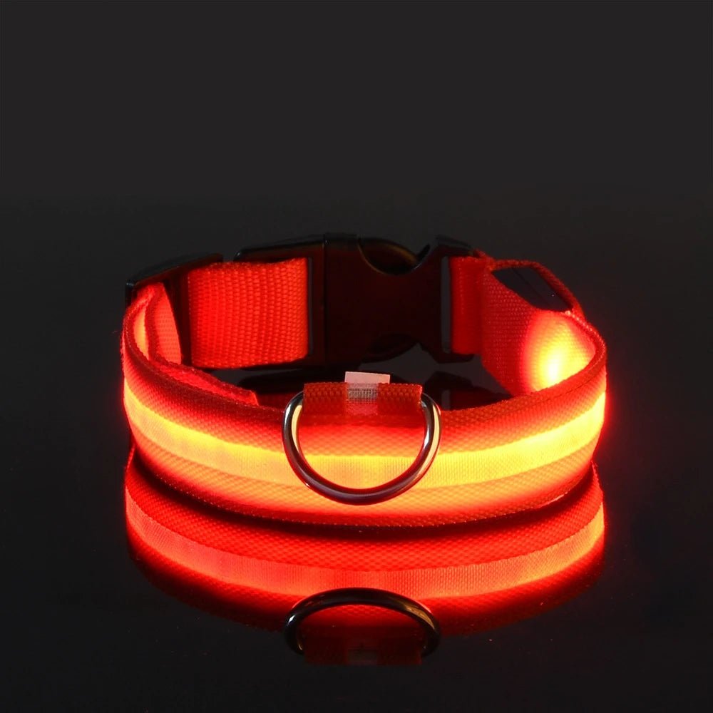 Nylon LED Night Safety Flashing Glow In The Dark Dog Leash Dogs Luminous Fluorescent Pet Dog Collar - FurissimoStore