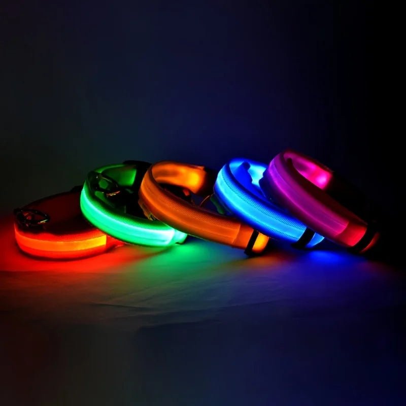 Nylon LED Night Safety Flashing Glow In The Dark Dog Leash Dogs Luminous Fluorescent Pet Dog Collar - FurissimoStore