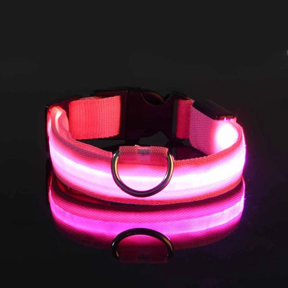 Nylon LED Night Safety Flashing Glow In The Dark Dog Leash Dogs Luminous Fluorescent Pet Dog Collar - FurissimoStore