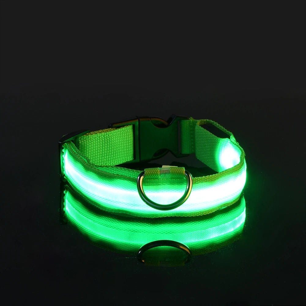 Nylon LED Night Safety Flashing Glow In The Dark Dog Leash Dogs Luminous Fluorescent Pet Dog Collar - FurissimoStore
