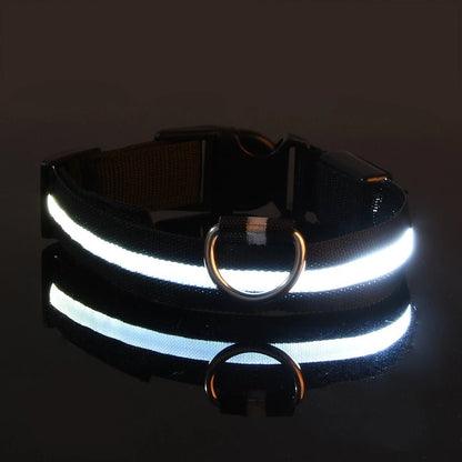 Nylon LED Night Safety Flashing Glow In The Dark Dog Leash Dogs Luminous Fluorescent Pet Dog Collar - FurissimoStore