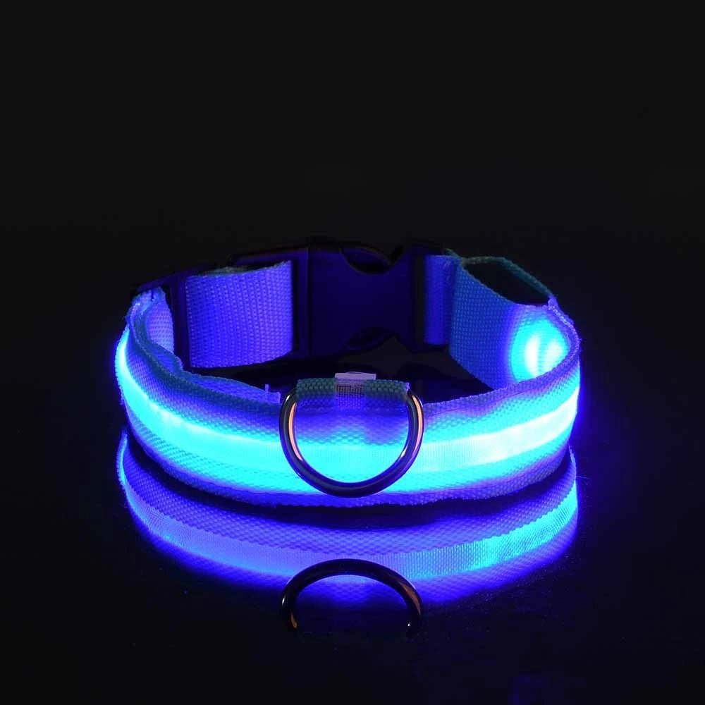Nylon LED Night Safety Flashing Glow In The Dark Dog Leash Dogs Luminous Fluorescent Pet Dog Collar - FurissimoStore